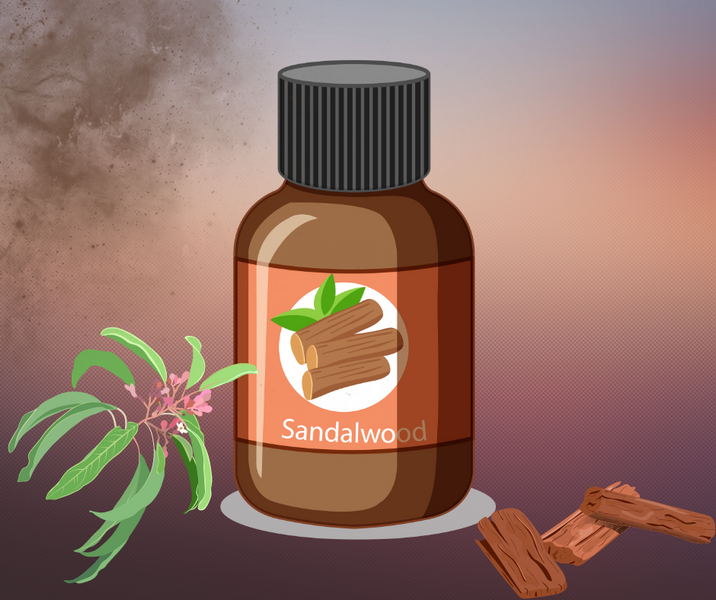 Sandalwood Essential Oil and Its Benefits